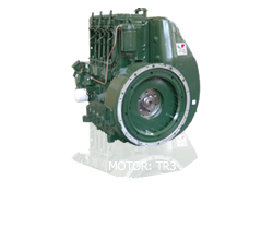 TR3